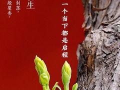-阿婉贵州苗家酸汤鱼(梅林店)