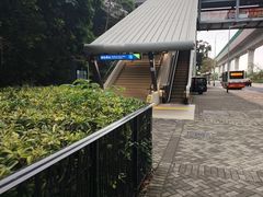 -澳门威尼斯人综合度假区