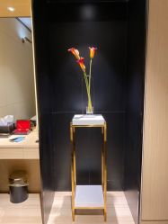 -娇莉芙美颜SPA连锁