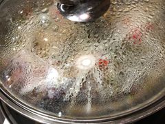 -老号尤兔头(幸福店)