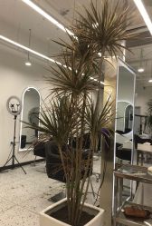 -FINE HAIR造型沙龙