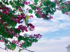 -龙舟池