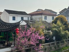 -沙掌门肉蟹煲(沙溪店)
