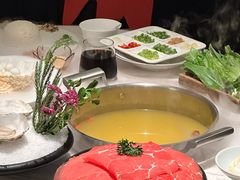 -汤城·料青山