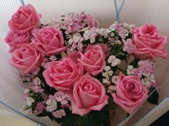 -南戴河国际娱乐中心