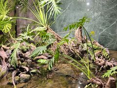 -宴周康·精致江浙菜(周浦店)