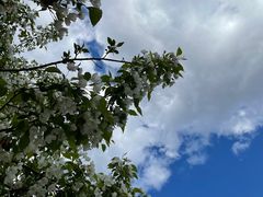 -长春市南湖公园