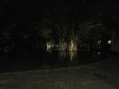 -大埔公路-马料水段香港中文大学(公交站)