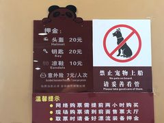 -虹口漂流