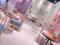 店内布置-藏猫猫咖啡主题馆(中央大道店)