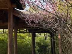 -苏州上方山国家森林公园