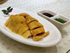 白斩鸡-顺风海鲜港(金玉兰店)