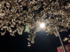 -江南大学(蠡湖校区)
