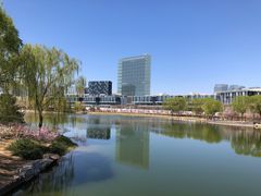 -大兴滨河森林公园