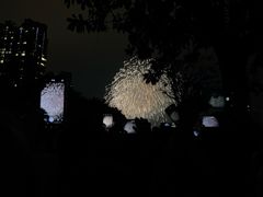 -广州白天鹅宾馆