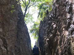 -千岛湖石林