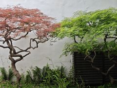 -拙政园