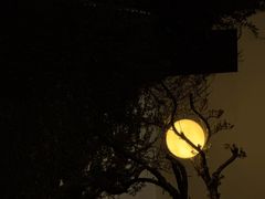 -健眺小海鲜(临海后山店)