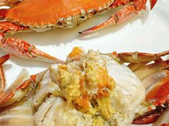 -渔民船说·北塘海鲜·天津菜·海肠捞饭(北塘古镇店)