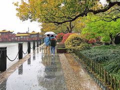 -西湖外事游船(湖滨二公园外事游船码头)