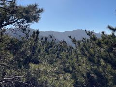 -崂山九水游览区