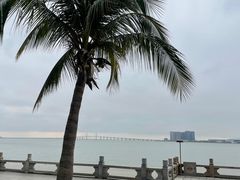 -星巴克(珠海仁恒滨海中心店)