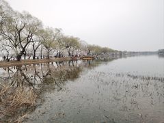 -颐和园