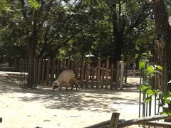 景点-北京动物园
