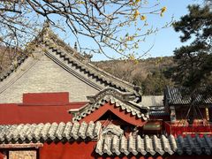 -泰山风景名胜区-普照寺