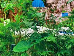 -清泉湾生态旅游度假区