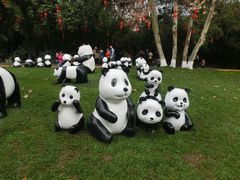 -成都大熊猫繁育研究基地