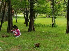 -贵阳市花溪国家城市湿地公园