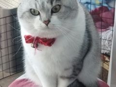 -世博家园十街坊