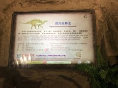 -自贡恐龙博物馆