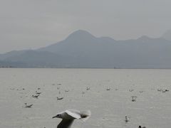 -深圳湾公园(南山区)