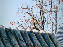 -汉唐宴长安食府