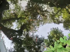 -wohkoon者行孙青年酒店(北京国贸SKP店)