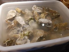 -吉布鲁牛排海鲜自助(深圳金牌店)
