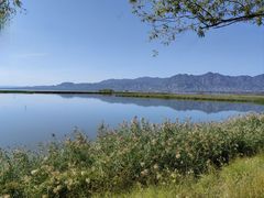 -野鸭湖国家湿地公园