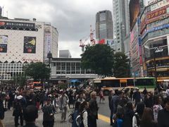 -涩谷区