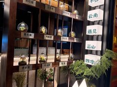 -芸山季·云南山珍菌火锅(人民广场来福士店)