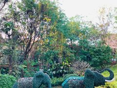 -西双版纳融创皇冠假日度假酒店