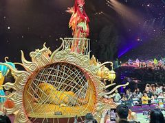 -广州长隆国际大马戏