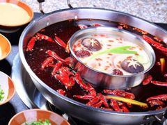 -杨家火锅(国美店)