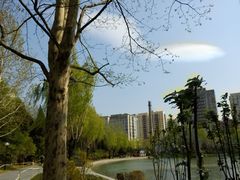 -青年湖公园水上世界