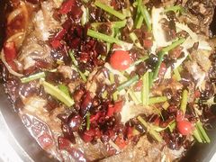 -老板恋上鱼(高新万达店)