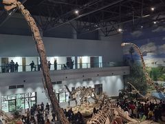 -自贡恐龙博物馆