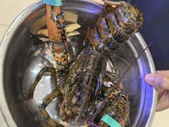 -望海潮海鲜店 特色家常菜(在海一方店)