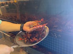 -庆合府重庆大排档(紫都城店)