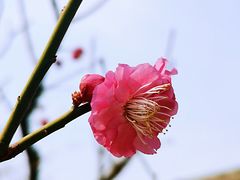 -北京明城墙遗址公园